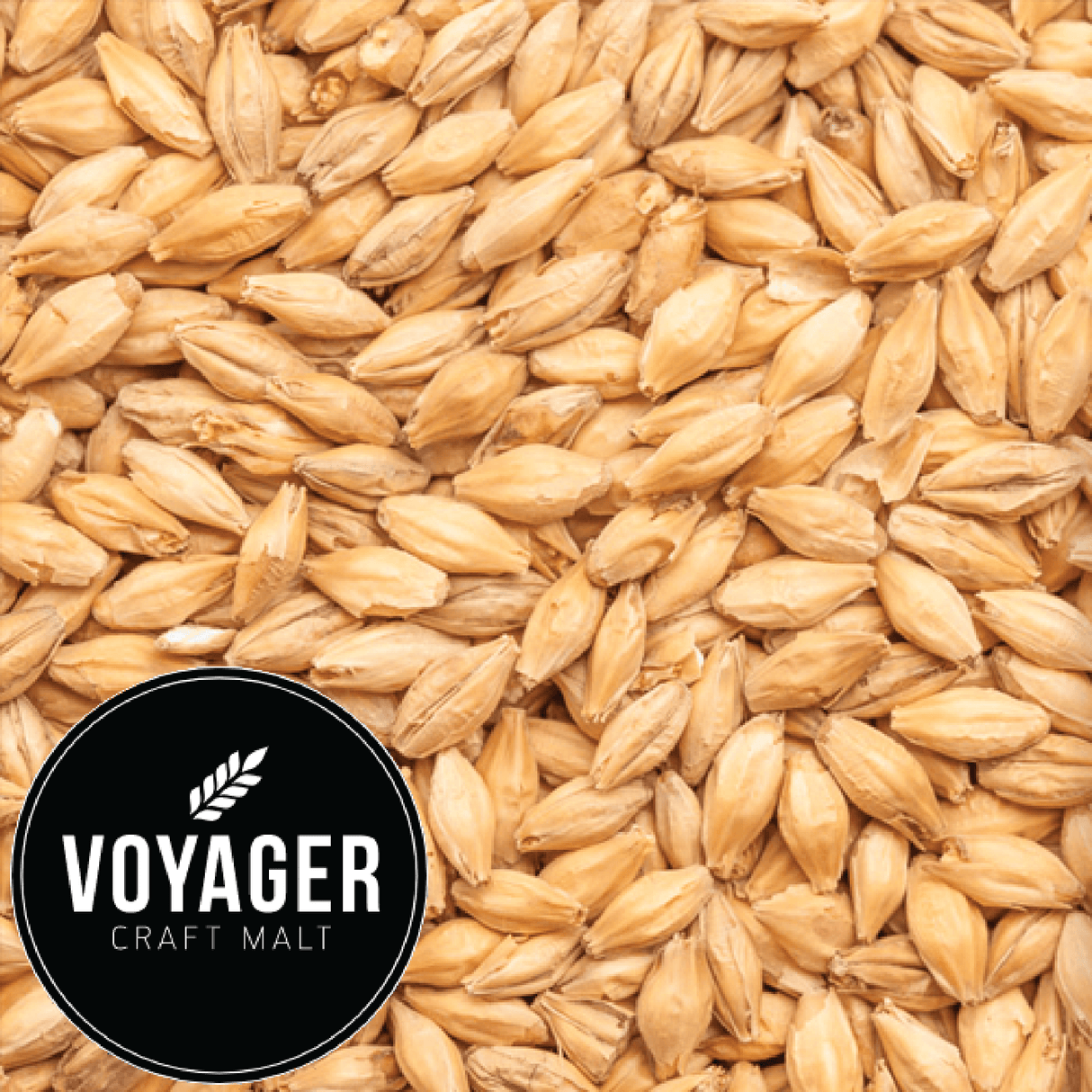 Pale Malt Atlas Voyager AUS per kg