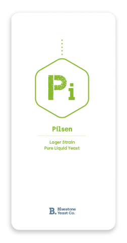 Pilsen Bluestone Yeast