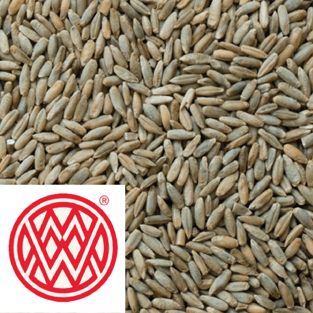 Rye Malt Weyermann GER per kg