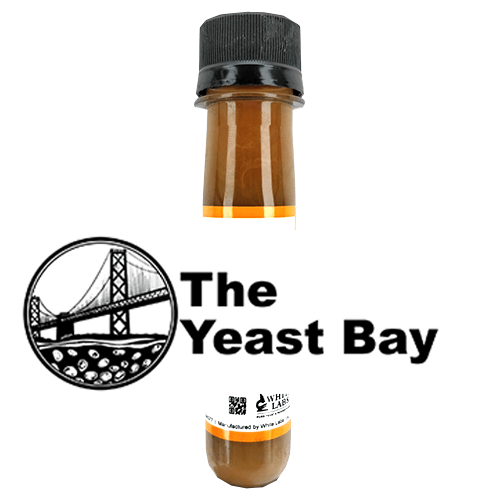 YB-WLP4641 Amalgamation II Yeast