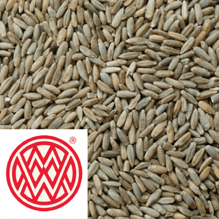 Rye Malt - 1kg Grain