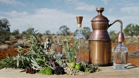 How to Make Australian Native Gin at Home - Distillery King Australia