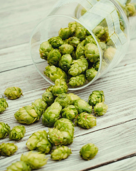 Brewing Hops - Distillery King Australia