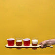 4 pint beer tasting paddle