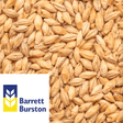 Ale Malt Victorian Barrett Burston AUS per kg