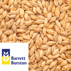 Ale Malt Victorian Barrett Burston AUS per kg