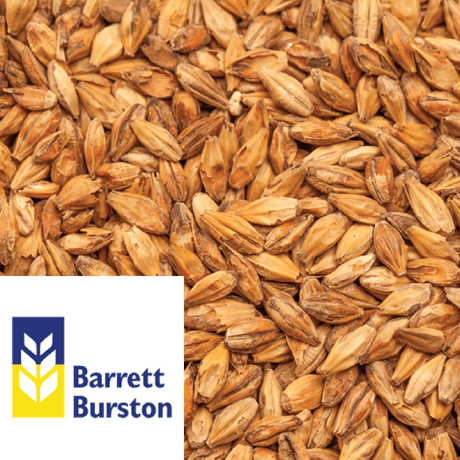 Amber Malt - Barrett Burston