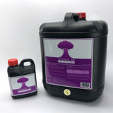 Atomic 15  Annihilator 20 Lt - Purple