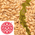 Beech Smoked Barley Weyermann GER per kg