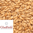 Biscuit Malt Gladfield NZ per kg