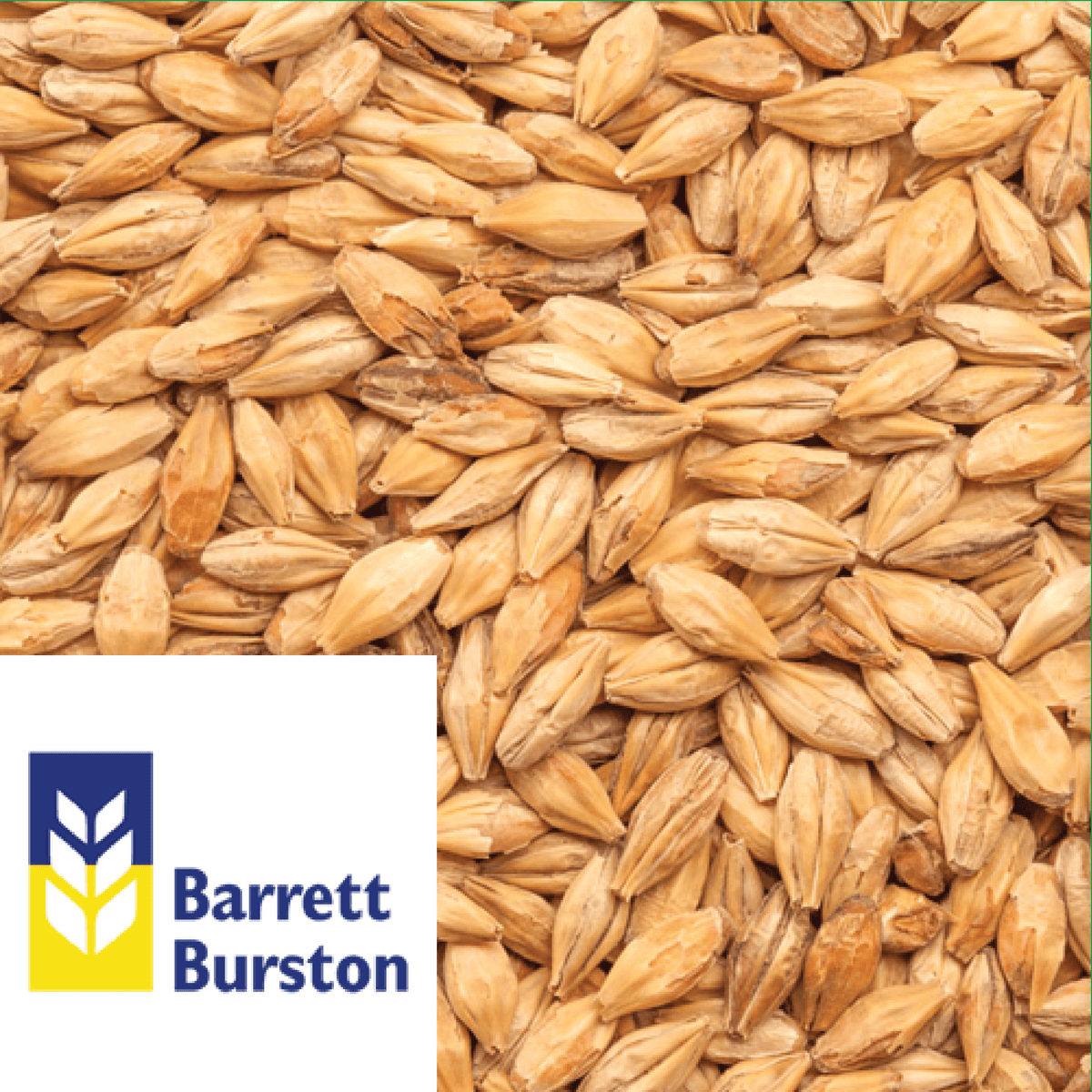 Caramalt Barrett Burston AUS per kg