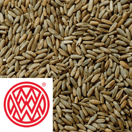 Caramel Rye Weyermann GER per kg