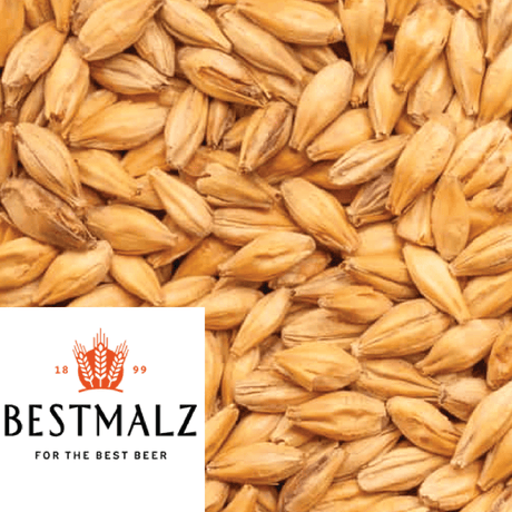 Chit Malt - BestMalz