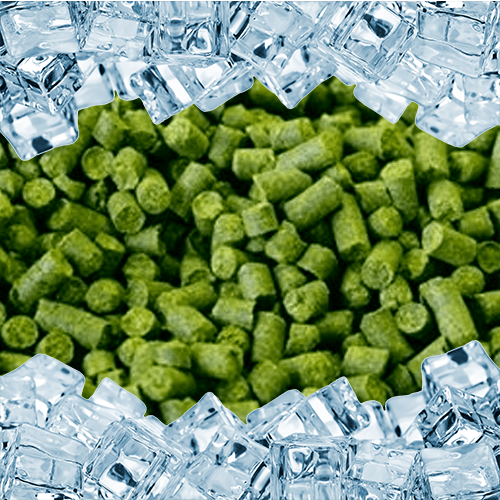 CRYO Columbus CTZ pellet hops