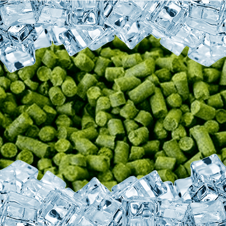 CRYO Columbus CTZ pellet hops
