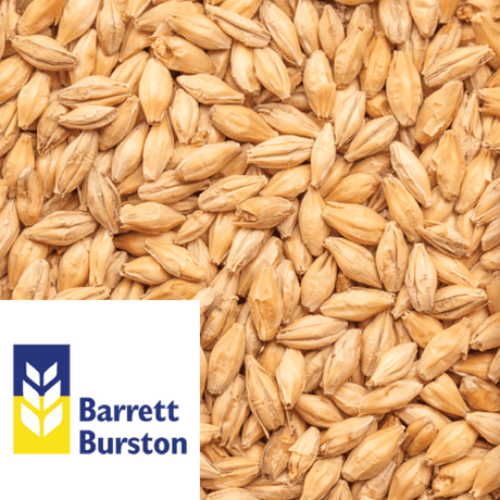 Extra Pale Malt Australian Barrett Burston per kg