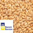 Extra Pale Malt Australian Barrett Burston per kg