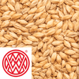Floor Malted Bohemian Pilsner Weyermann GER per kg