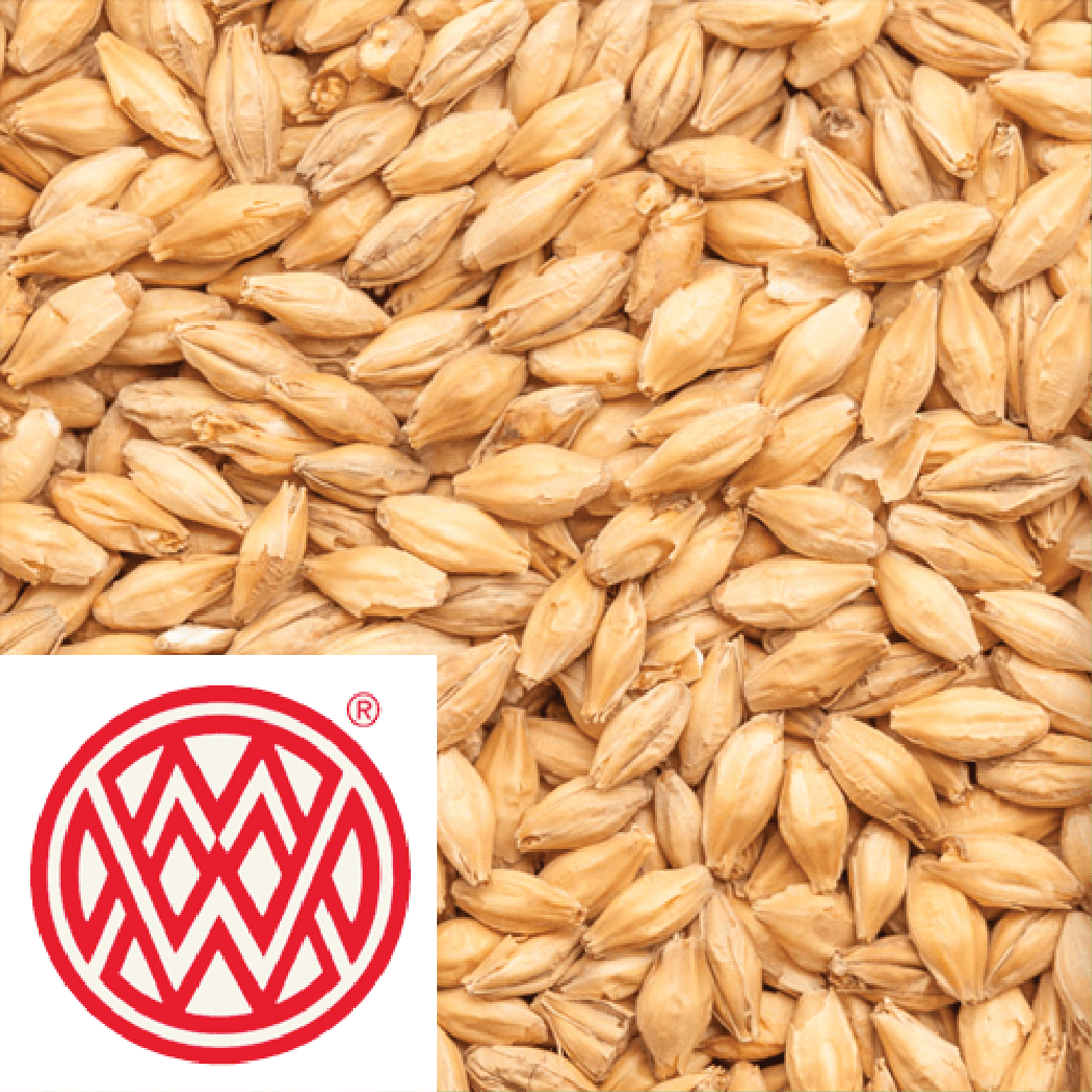 Floor Malted Bohemian Pilsner Weyermann GER per kg