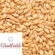 Lager Light Malt Gladfield NZ per kg