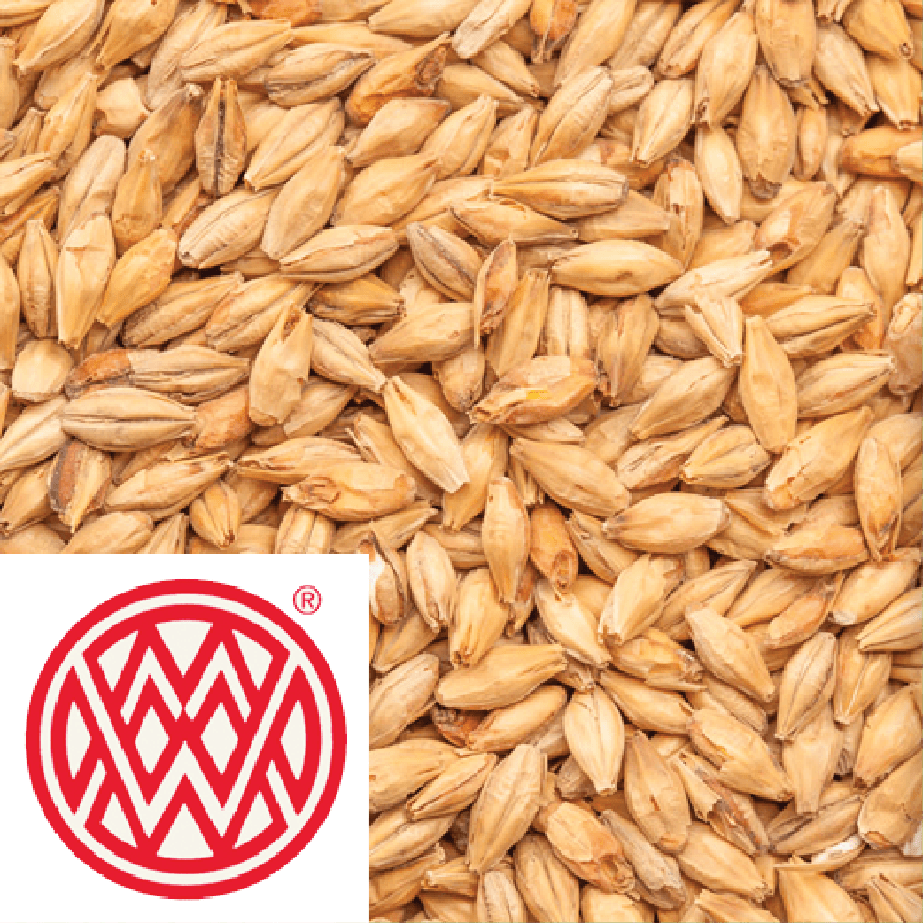 Munich T1 Light Weyermann GER per kg