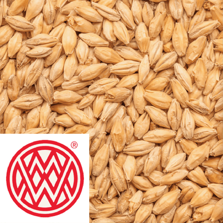 Pale Ale Malt Weyermann GER per kg