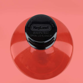 PCO38 wedge seal cap