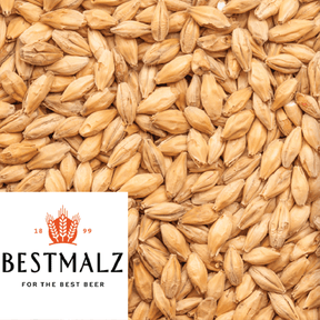 Red X malt, Best Malz, per kilogram