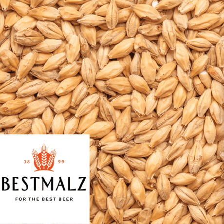 Red X malt, Best Malz, per kilogram