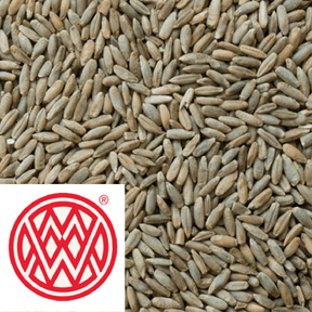 Rye Malt Weyermann GER per kg