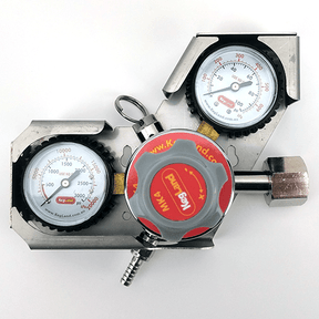 Stainless steel gauge guard for MK4 regulator