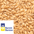 Vienna Malt Barrett Burston AUS per kg