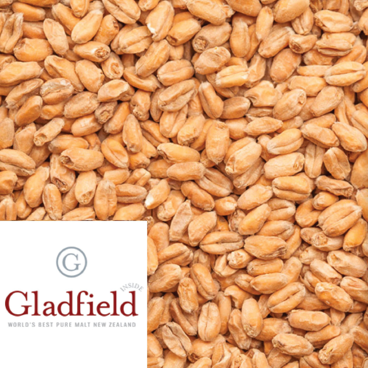 Gladfield New Zealand wheat malt sold per kilogram