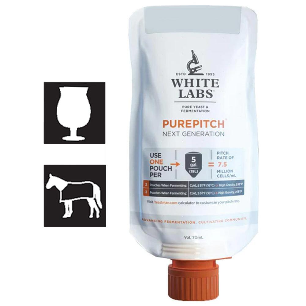WLP661 Pediococcus damnosus pure pitch pouch