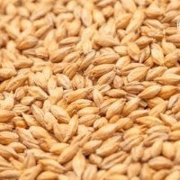 Pilsner Malt Grain 25kg (3-4 EBC)