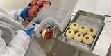 Astra Peel - a - ton Automatic Peeler Fruit Peeler and Vegetable Peeler - Distillery King Australia