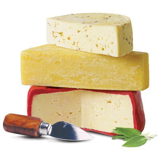 Mad Millie Artisan Cheese Kit - Distillery King Australia