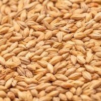 Munich Malt Grain 25kg (less than 20 EBC) - Distillery King Australia