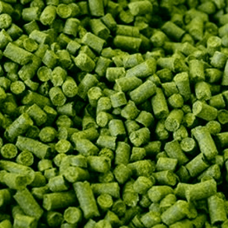Saaz - (100g Pellet Hop) - Distillery King Australia