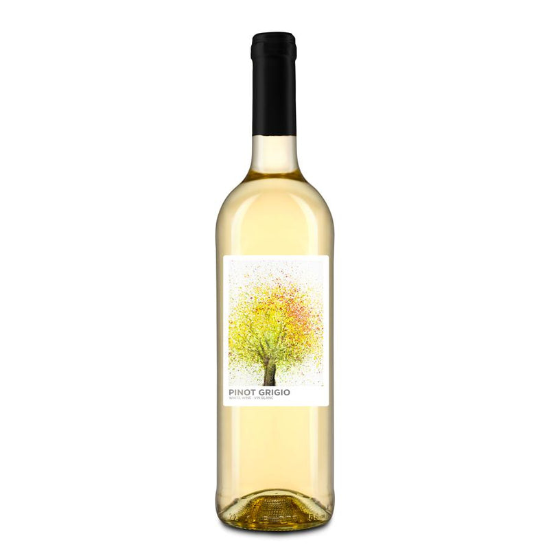 Wine Making Kit Vintners Reserve Pinot Gris Makes 30 Bottles - Distillery King Australia
